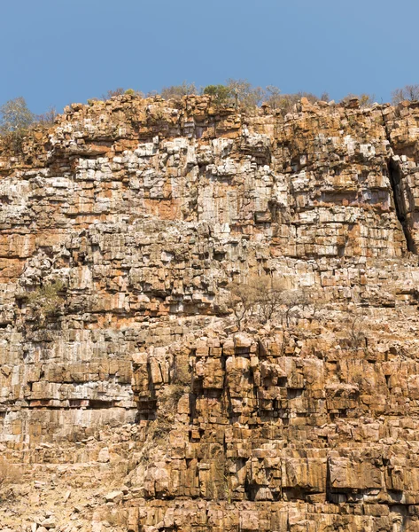 Gola dell'Avvoltoio Botswana Africa — Foto Stock