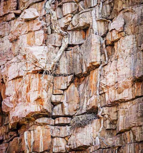 Gam boet på klipporna — Stockfoto