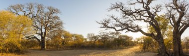 Afrika manzara panorama