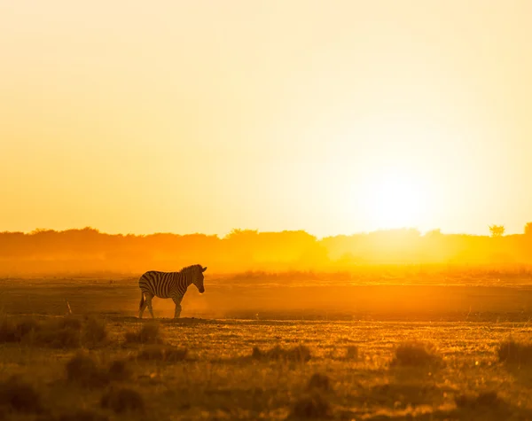 Afrika zonsondergang landschap — Stockfoto