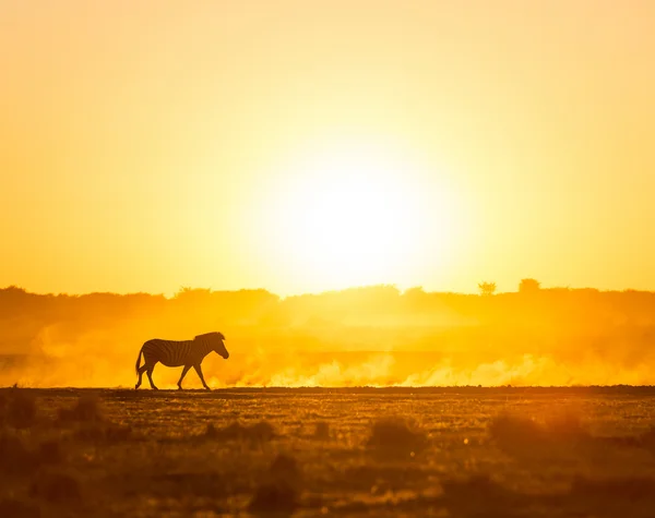 Afrika zonsondergang landschap — Stockfoto
