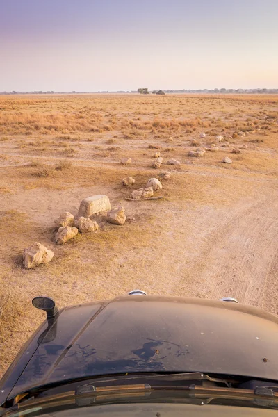 自驾车 Safari 非洲 — 图库照片