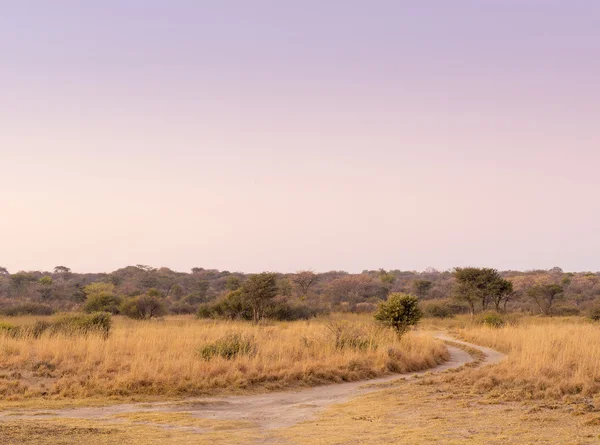 Zonsopgang op de Afrikaanse vlakten — Stockfoto