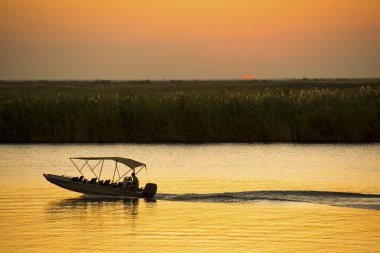 Nehir Safari Chobe nehir üzerinde