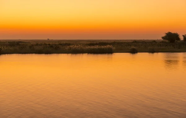 Chobe nehir günbatımı — Stok fotoğraf