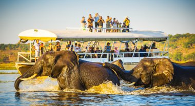 Afrika fili Safari