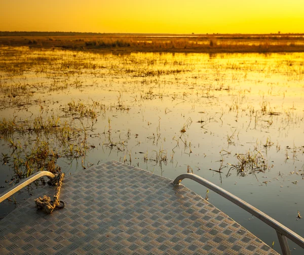 Chobe River Cruise — Stock Photo, Image