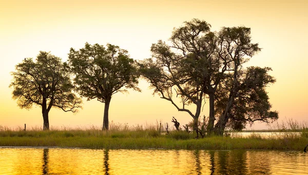 Chobe rivier zonsondergang — Stockfoto