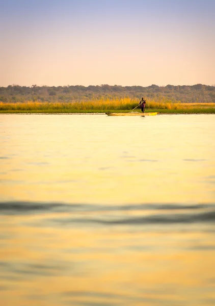 Man in kano — Stockfoto