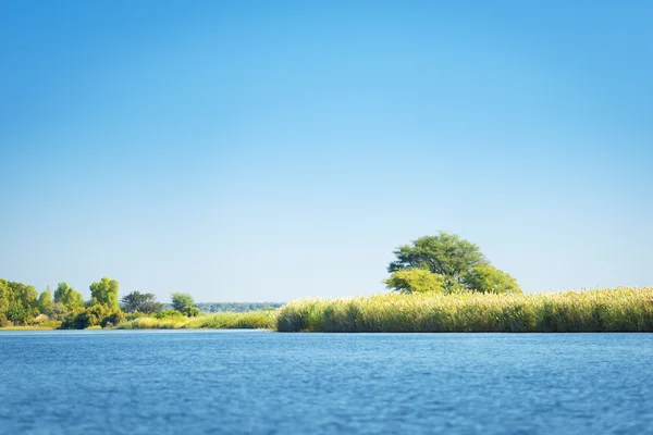 Widok na rzekę Chobe — Zdjęcie stockowe