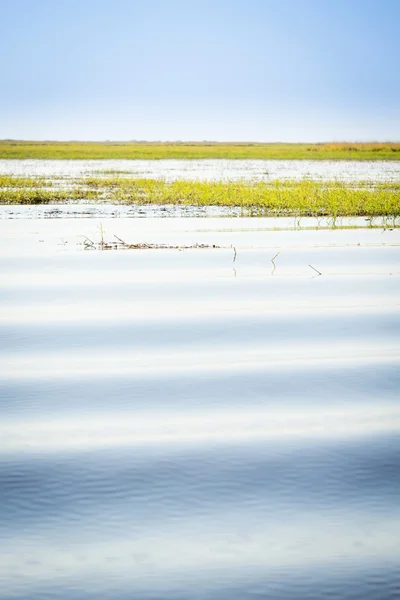 Chobe River-achtergrond — Stockfoto