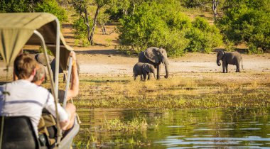 Turistler fil Safari Afrika