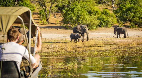 Toeristen op olifant Safari Afrika — Stockfoto