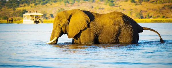 Tourists On Elephant Safari Africa — Stock Photo, Image