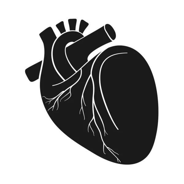 Ilustração Órgão Anatômico Coração Humano Vetor — Vetor de Stock