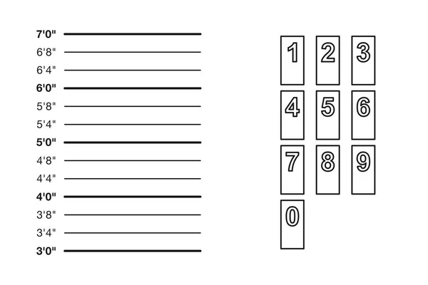 Police Height Chart Suspect Numbers Vector Set — Stock Vector