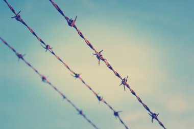 Barbed Wire Close