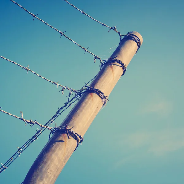Barbed Fence — Stock Photo, Image