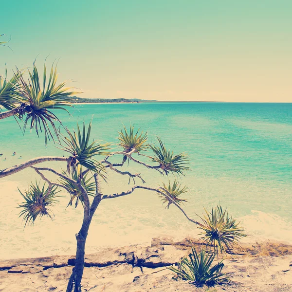 Playa australiana — Foto de Stock