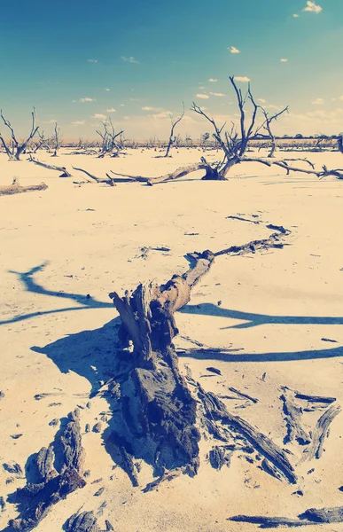 Cambio climático —  Fotos de Stock