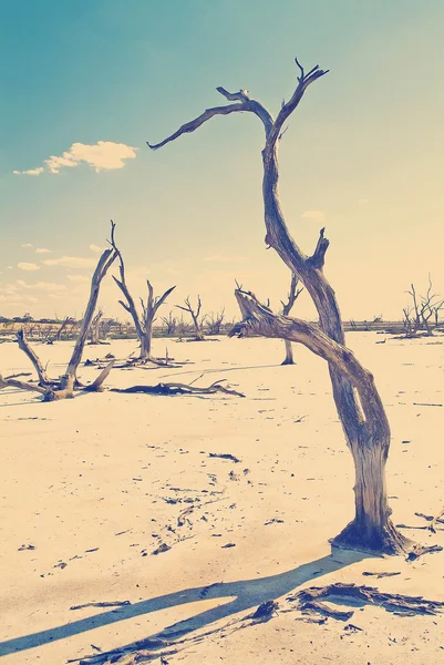 Alterações climáticas — Fotografia de Stock