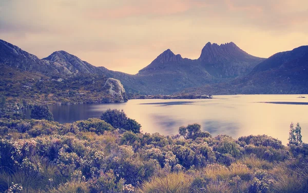 Montagna di culla, tasmania — Foto Stock