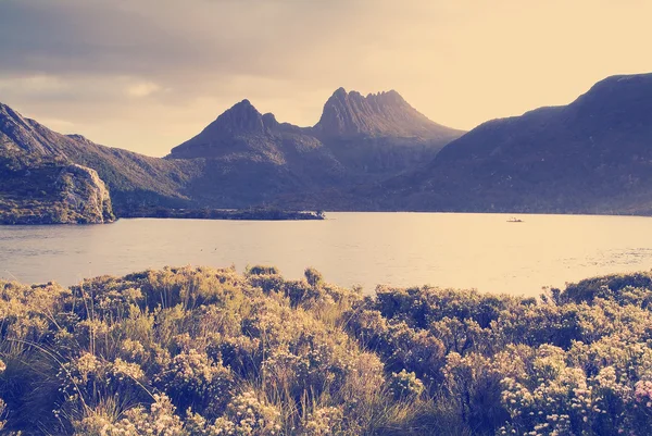 Cradle mountain, Tasmánie — Stock fotografie
