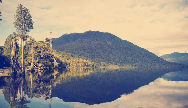 Lago da selva — Fotografia de Stock