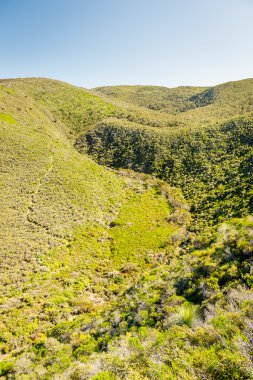 Güney Avustralya 'daki Fleurieu Yarımadası