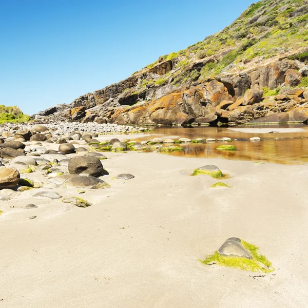 Güney Avustralya 'daki Fleurieu Yarımadası — Stok fotoğraf