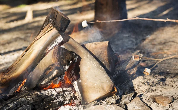 Rostning marshmallows — Stockfoto