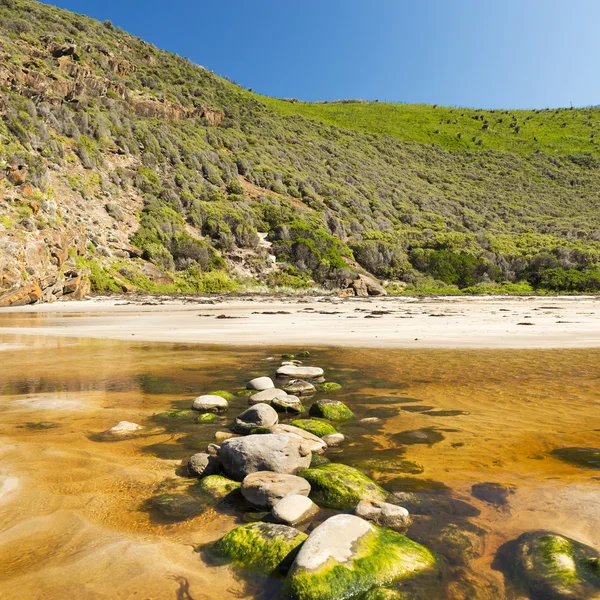 Stepping Stones — Stock Photo, Image