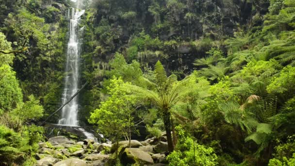 Cascata delle cascate di Erskine — Video Stock