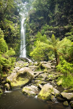 Erskine Falls şelale