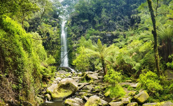 Erskine Falls waterval — Stockfoto