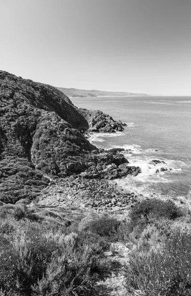 Línea costera australiana Blanco y Negro — Foto de Stock