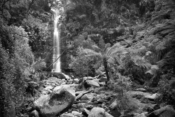Chute d'eau Erskine Falls Noir et blanc — Photo