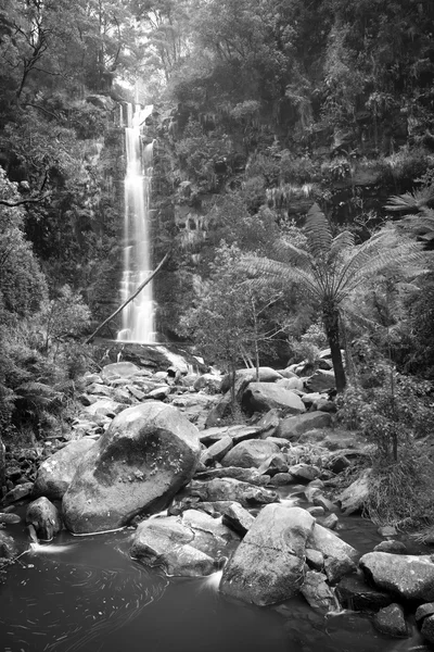 Erskine Falls waterval zwart-wit — Stockfoto