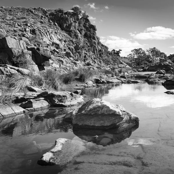 Oasi dell'Outback Bianco e nero — Foto Stock