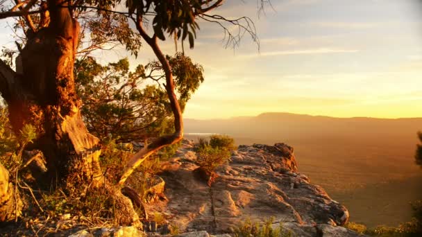 Australischer Sonnenuntergang — Stockvideo