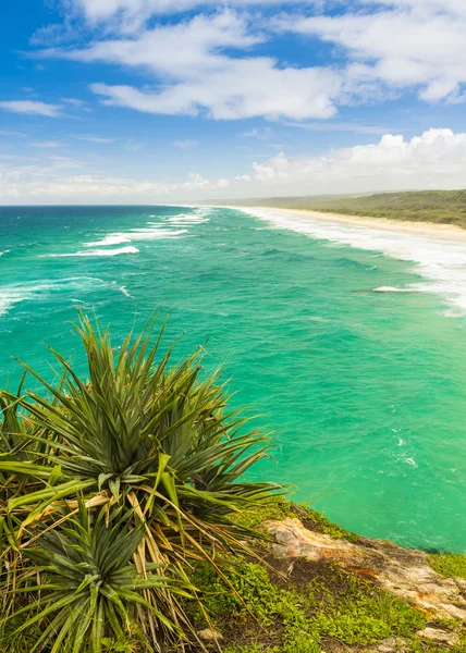 Avustralya plaj — Stok fotoğraf