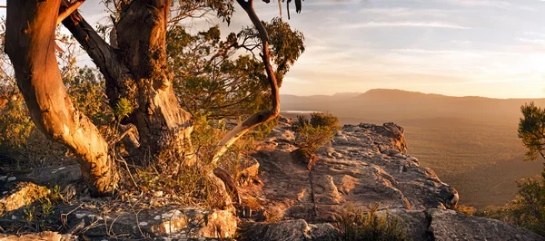 Australische bush landschap — Stockfoto