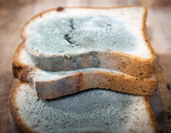 Beschimmeld brood — Stockfoto