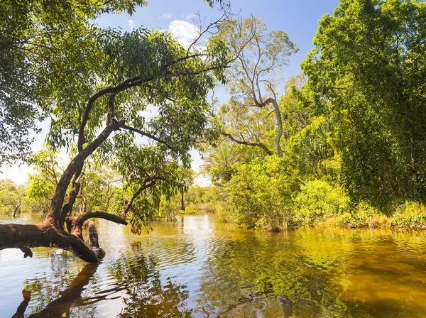 Myora Springs — Stockfoto