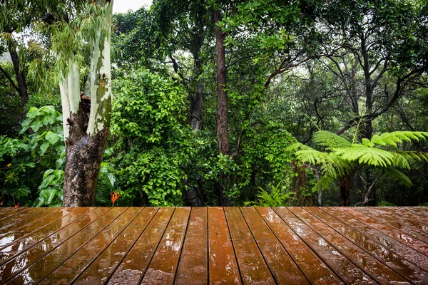 Plancher de bois et jungle — Photo