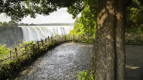 Victoria Falls uyanık — Stok video