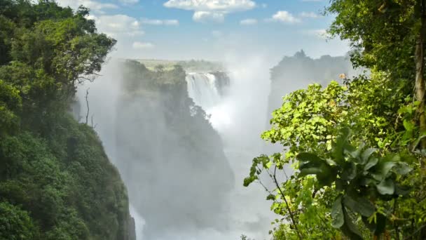 Cascate Vittoria Zimbabwe — Video Stock