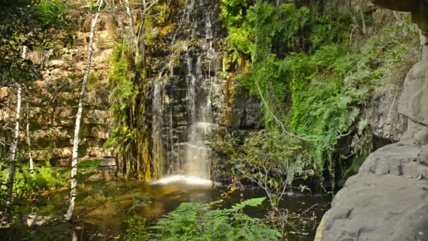 Afrika Jungle waterval Botswana — Stockvideo