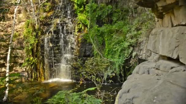 Afrika Jungle waterval Botswana — Stockvideo