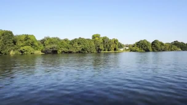 Αφρική ποταμό Chobe Μποτσουάνα — Αρχείο Βίντεο